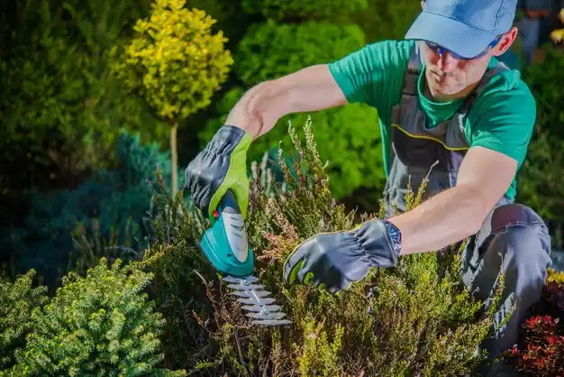 landscaping services East Hills